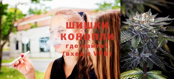 ПСИЛОЦИБИНОВЫЕ ГРИБЫ Иннополис